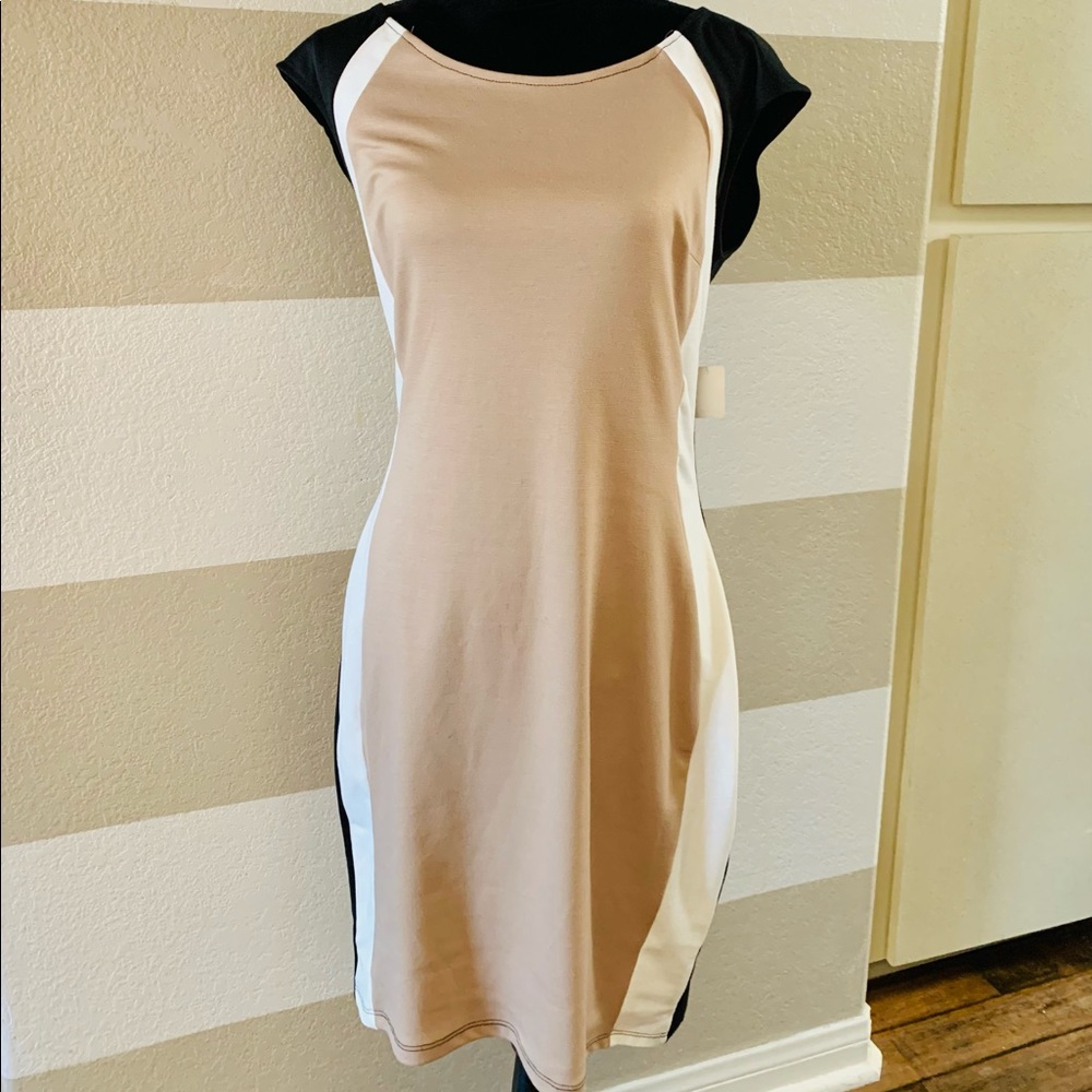 Janette Plus dress 1X